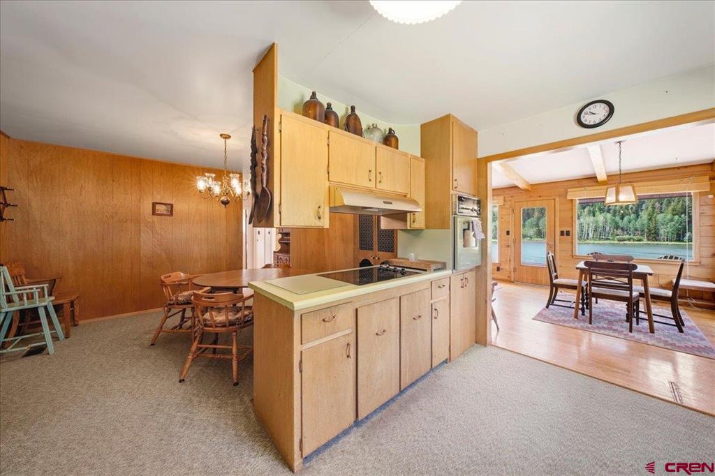 2871 County Road Ridgway CO 81432