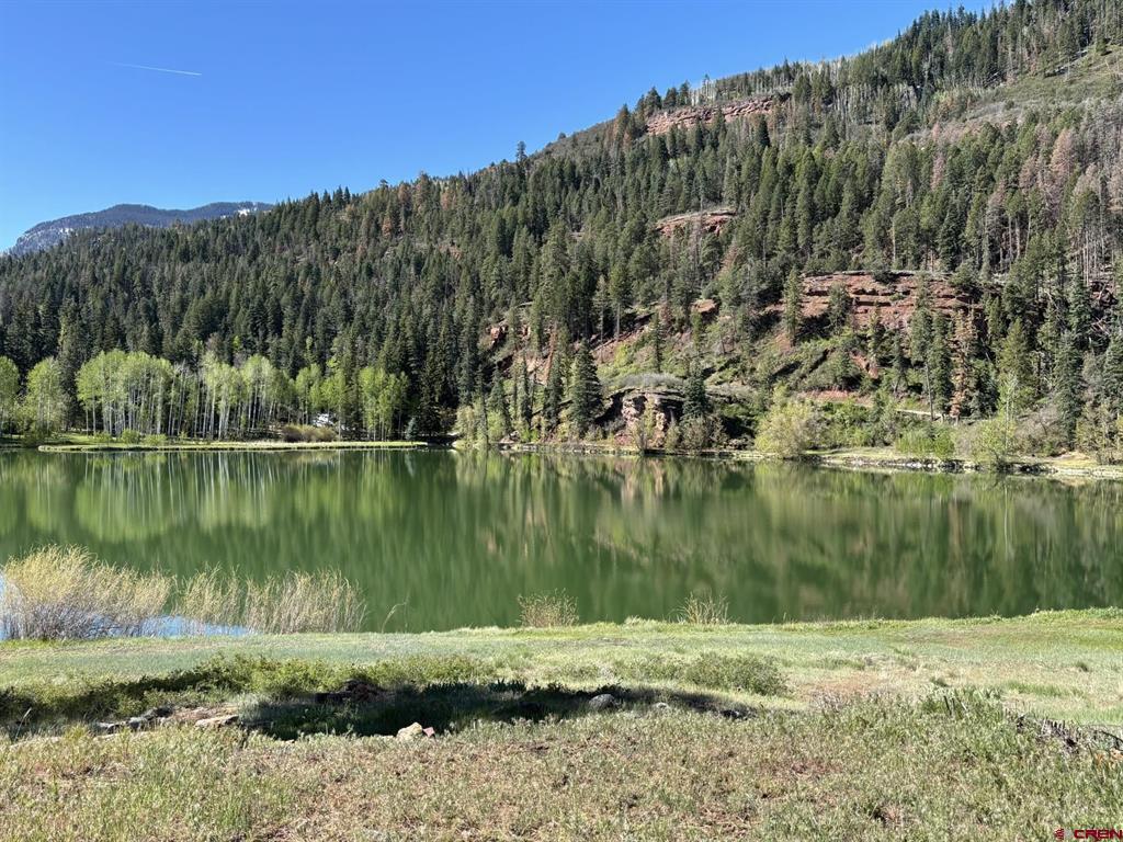 2871 County Road Ridgway CO 81432