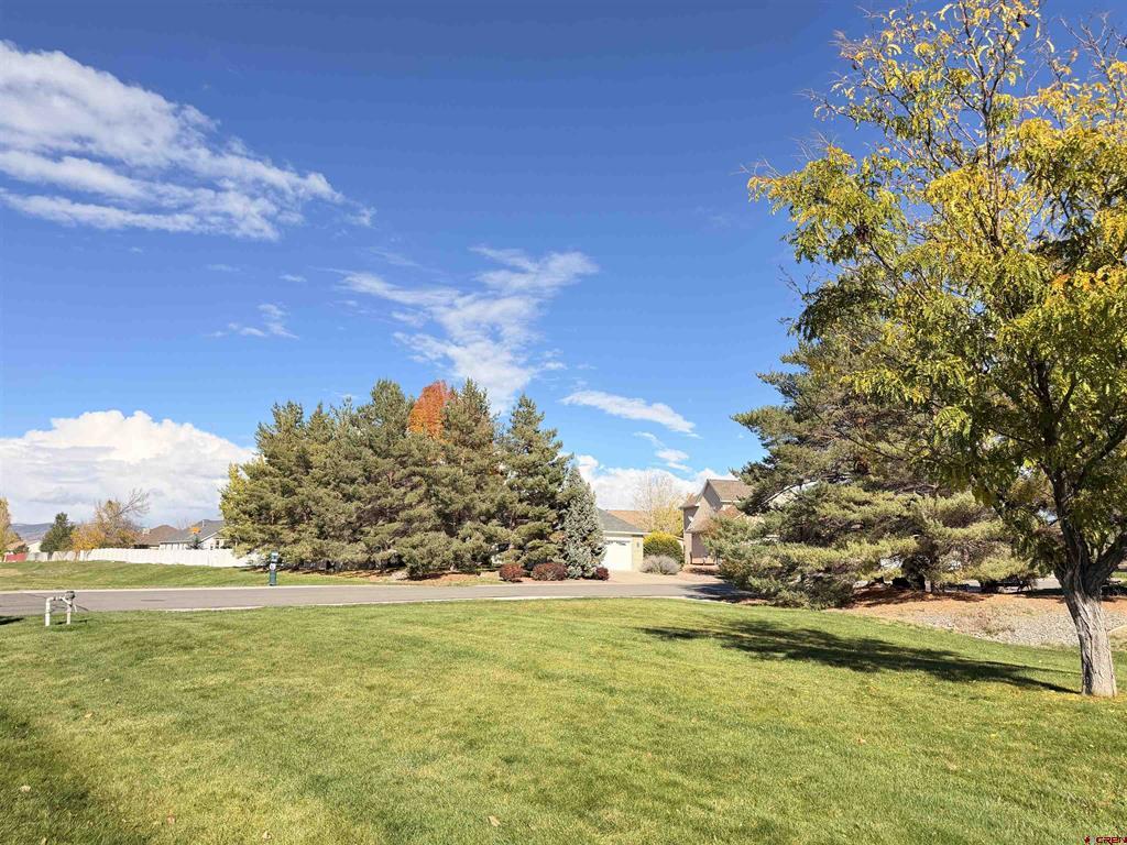 2201 Mead Lane Montrose CO 81401