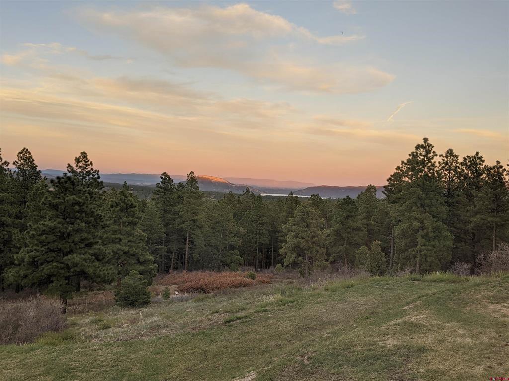444 & 448 Conestoga Way Hesperus CO 81326