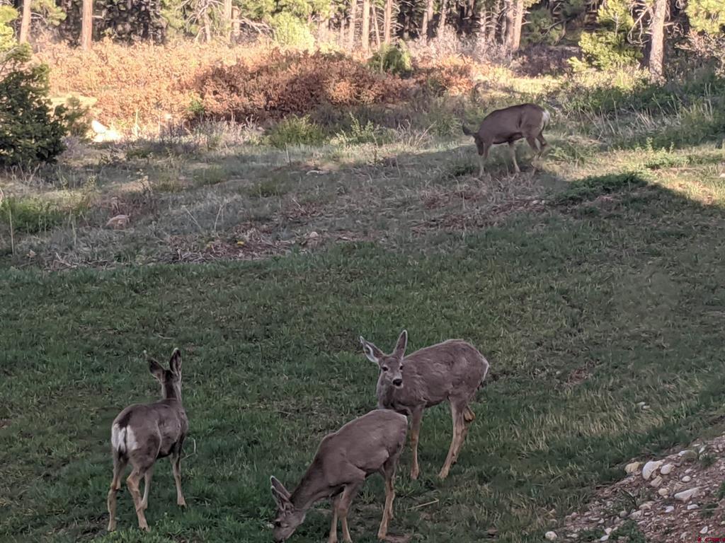 444 & 448 Conestoga Way Hesperus CO 81326