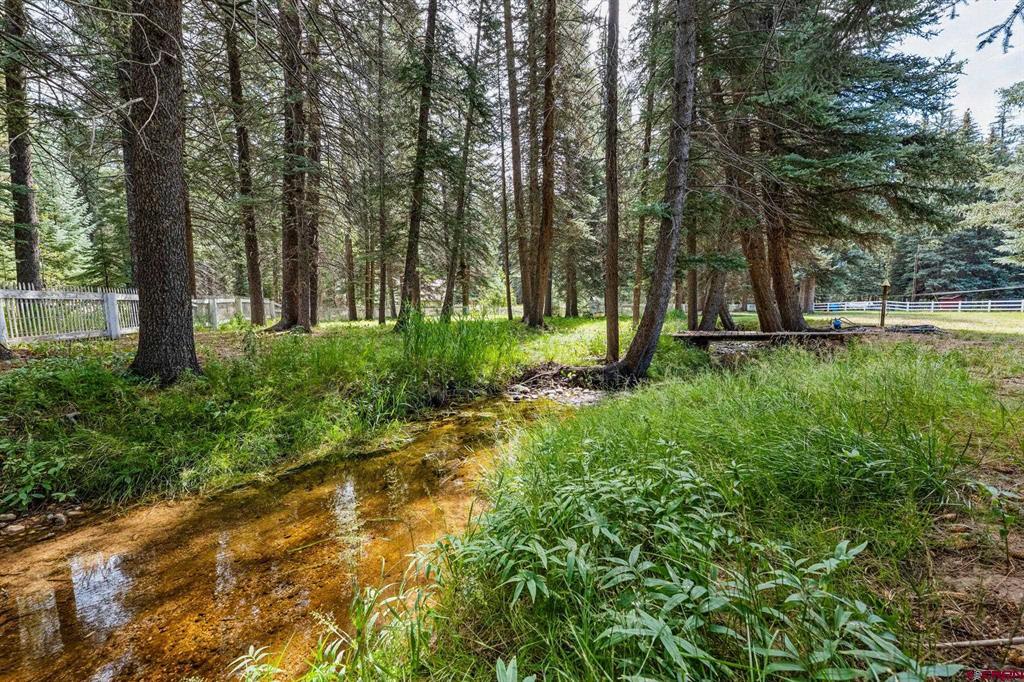 124 W Grimes Creek Road Bayfield CO 81122