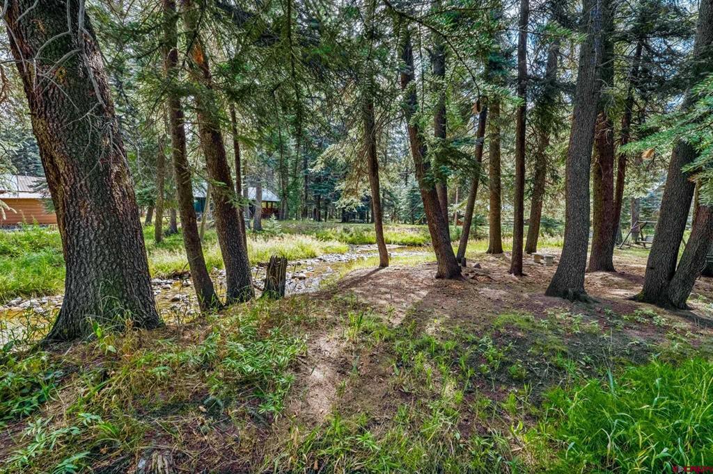 124 W Grimes Creek Road Bayfield CO 81122