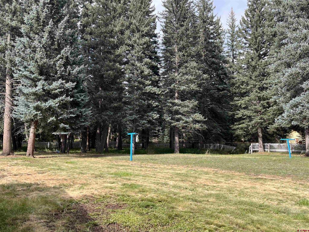 124 W Grimes Creek Road Bayfield CO 81122