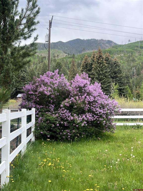 124 W Grimes Creek Road Bayfield CO 81122