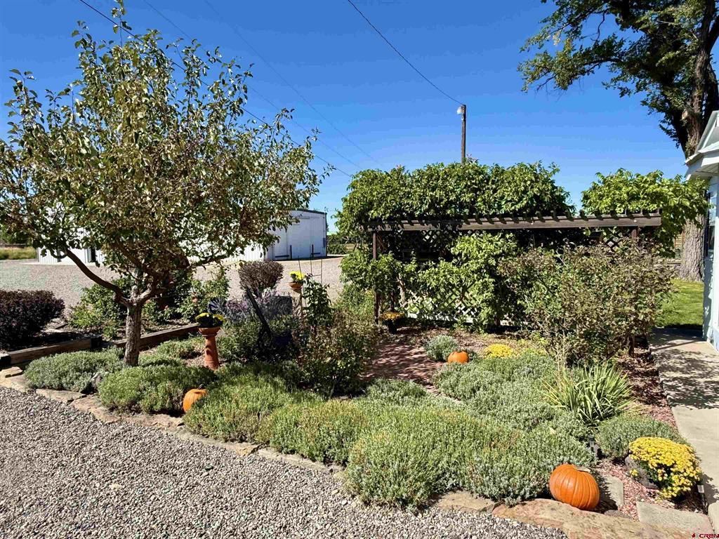 21475 Highway 550 Montrose CO 81403