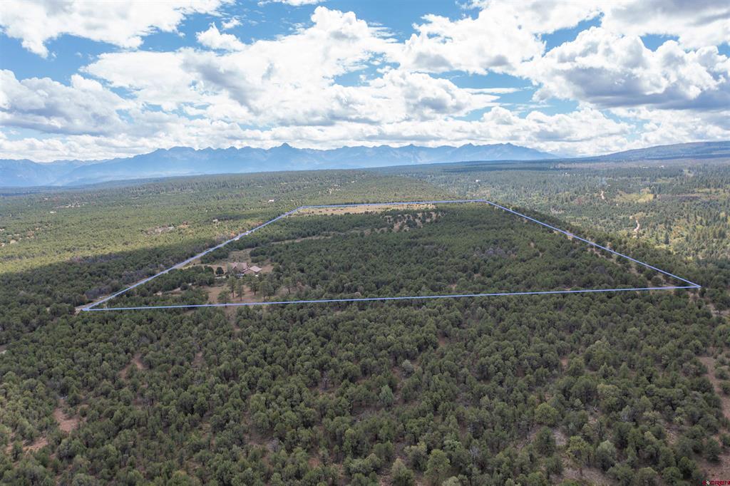 1716 Snow Bush Drive Montrose CO 81403