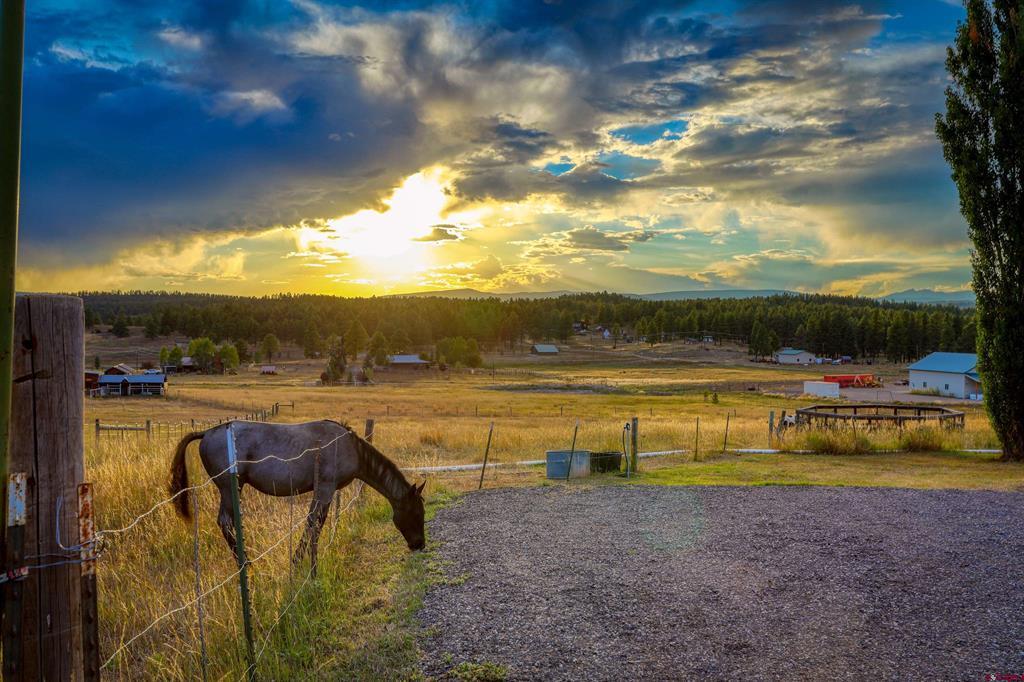 374 Whitaker Place Pagosa Springs CO 81147