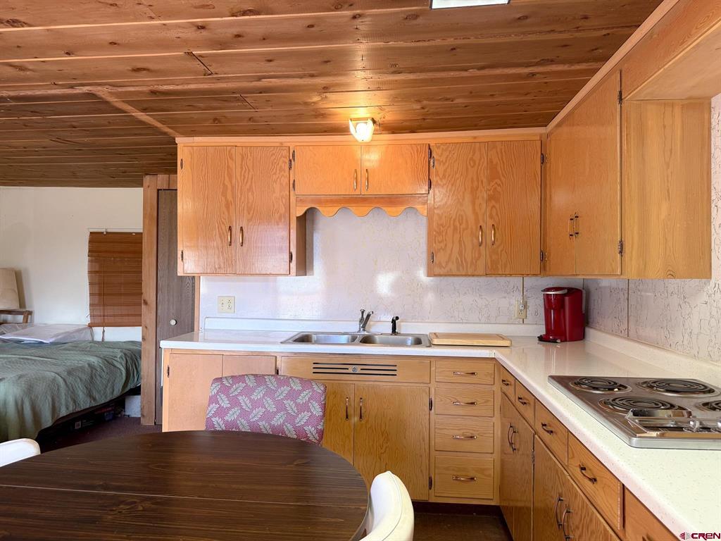 4100 Usfs 515 Road Creede CO 81130