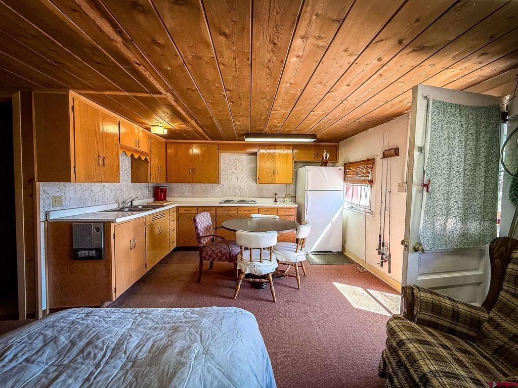 4100 Usfs 515 Road Creede CO 81130