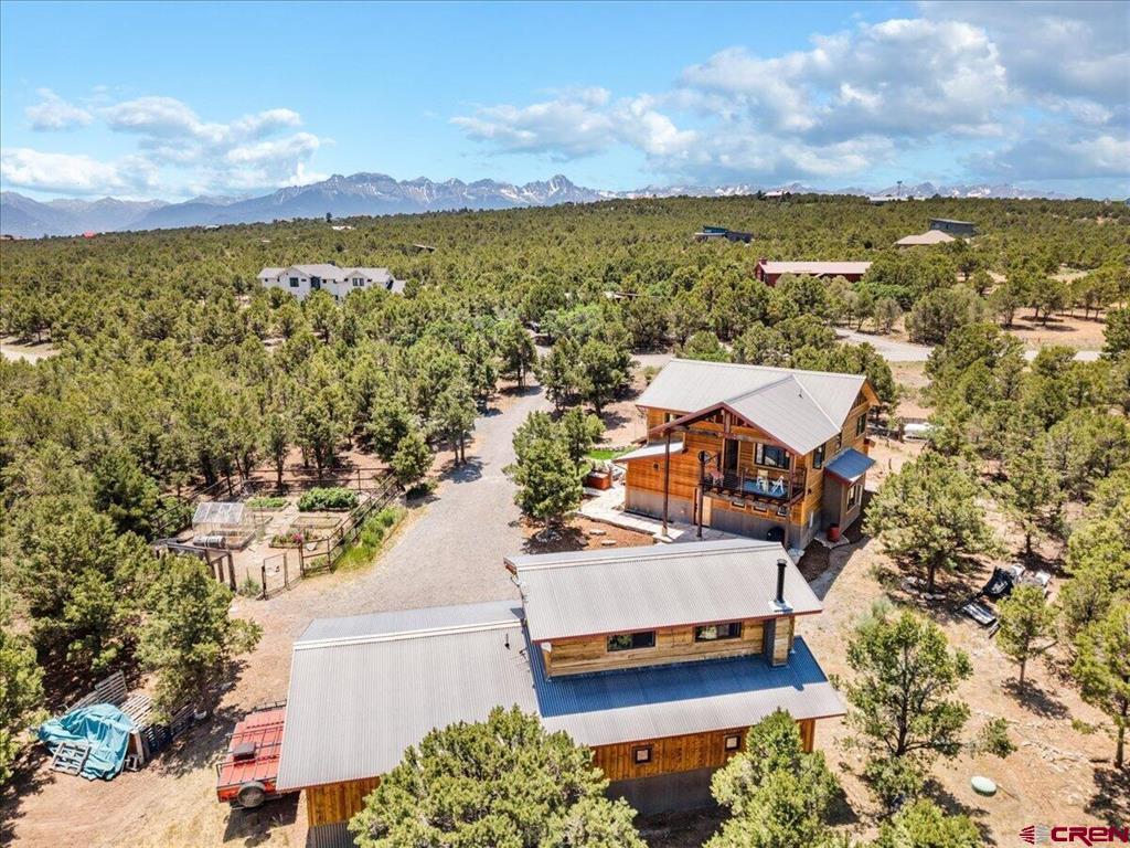 79 E Cedar Lane Ridgway CO 81432