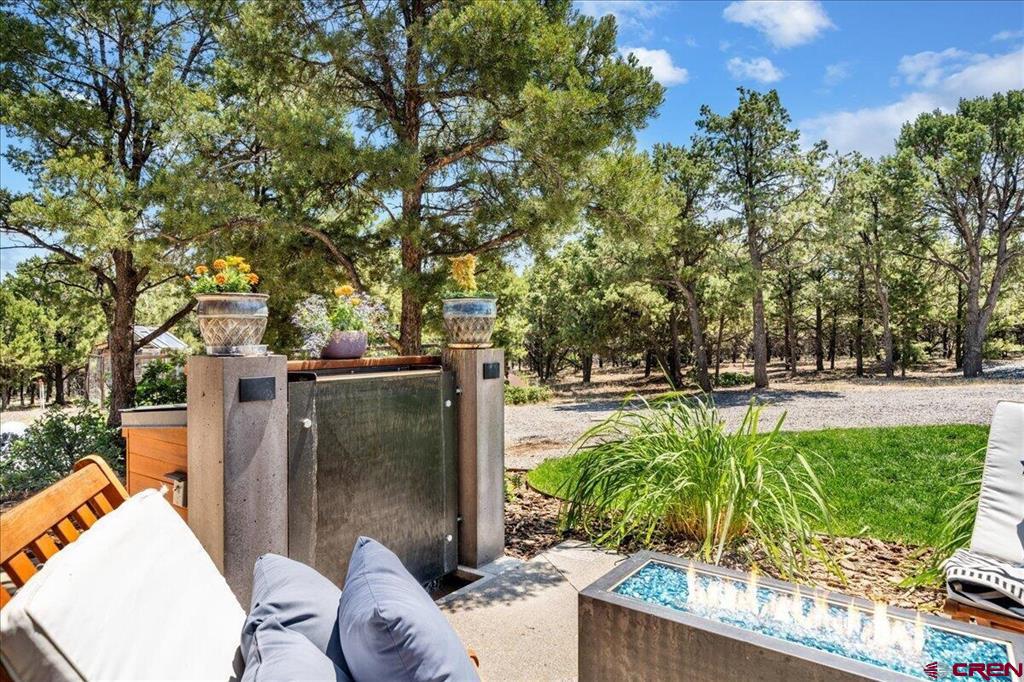 79 E Cedar Lane Ridgway CO 81432