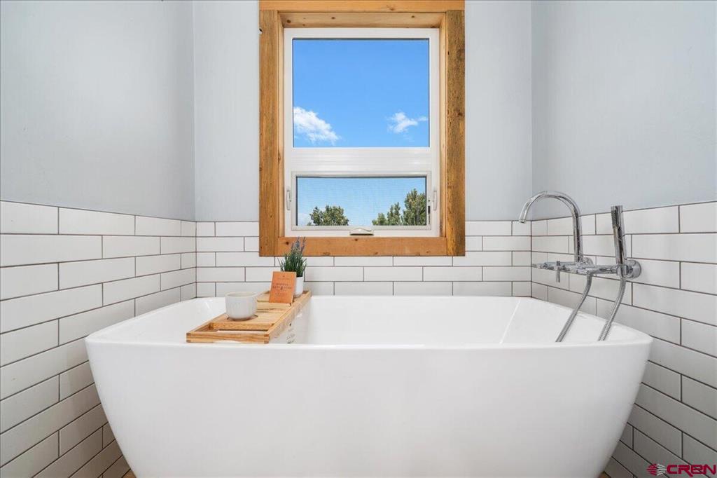 79 E Cedar Lane Ridgway CO 81432