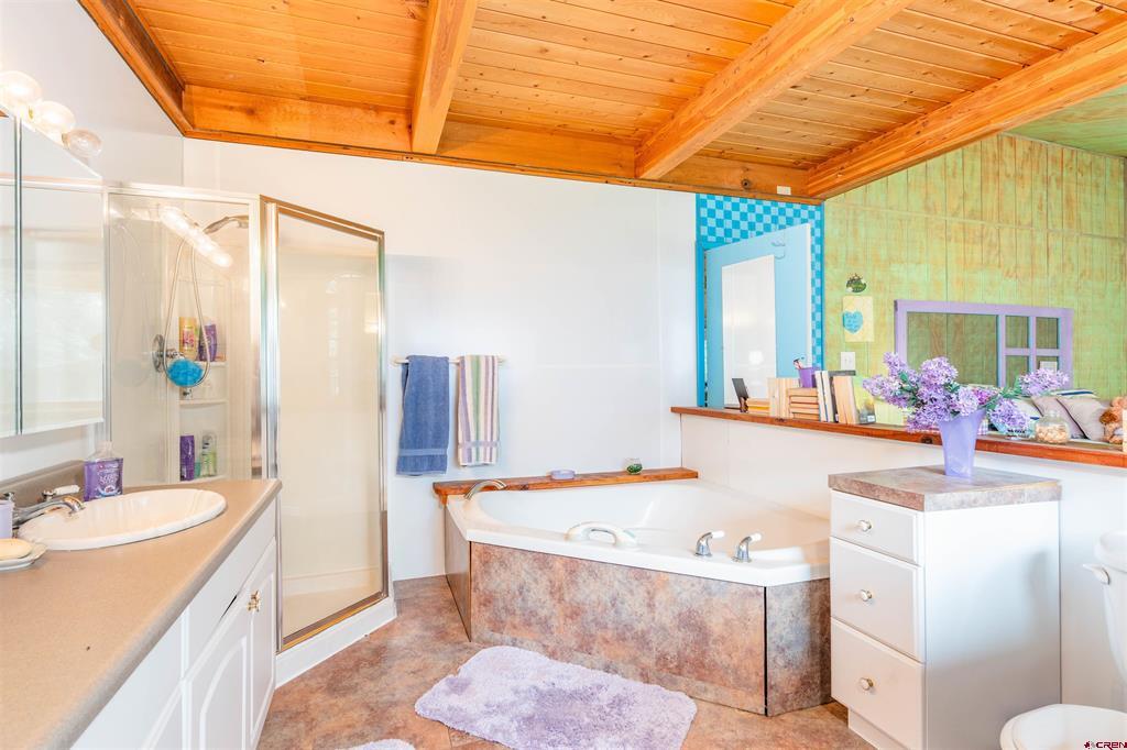 210 Ponderosa Homes Drive Bayfield CO 81122