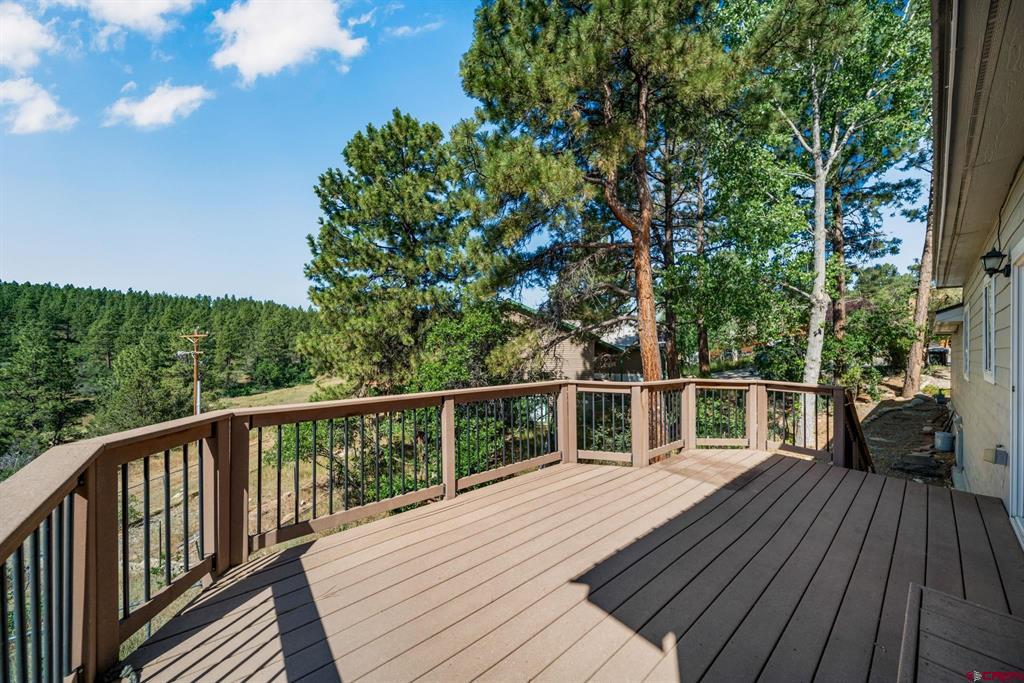 41 Valley View Way Durango CO 81303