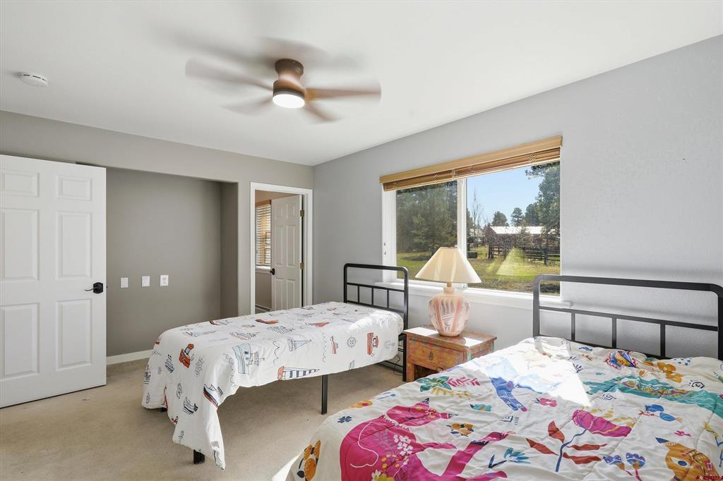 42 W Radiant Court Pagosa Springs CO 81147