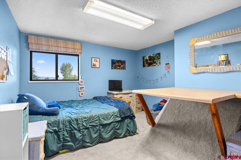 61500 Lobo Drive Montrose CO 81403