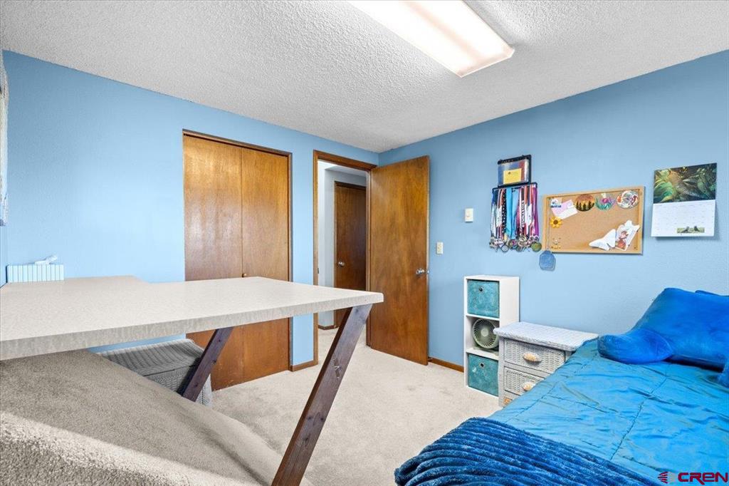 61500 Lobo Drive Montrose CO 81403