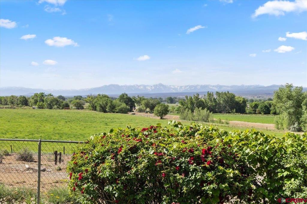 61500 Lobo Drive Montrose CO 81403