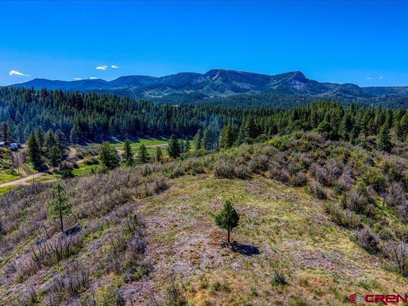 266 Sparrow Circle Pagosa Springs CO 81147