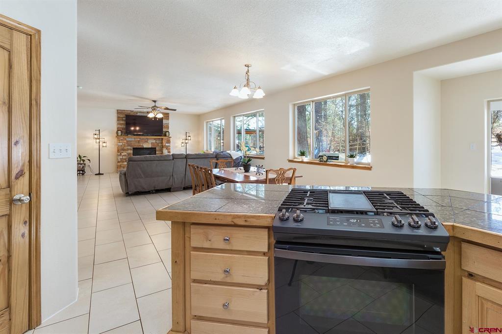 554 Oak Drive Durango CO 81301