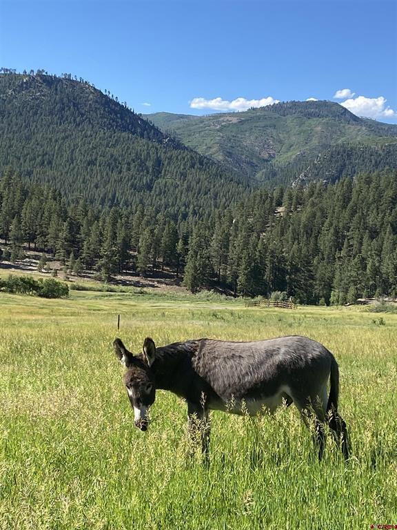 250 Sunset Lane Durango CO 81301