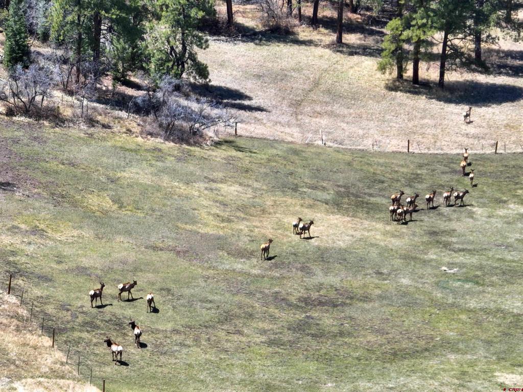 250 Sunset Lane Durango CO 81301