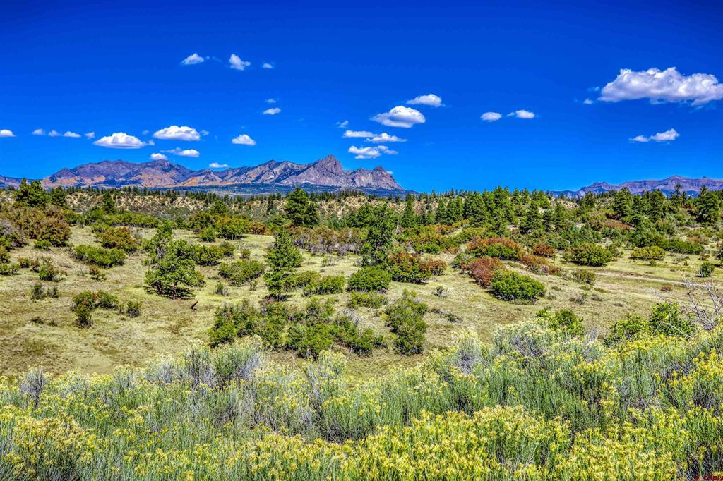 521 Spring Creek Circle Pagosa Springs CO 81147