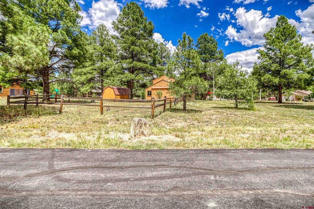 20 Quartz Court Pagosa Springs CO 81147