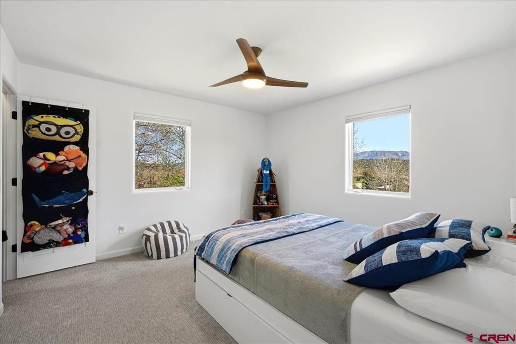 320 S Amelia Street Ridgway CO 81432
