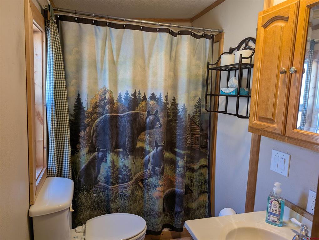 472 Haystack Circle Pagosa Springs CO 81147