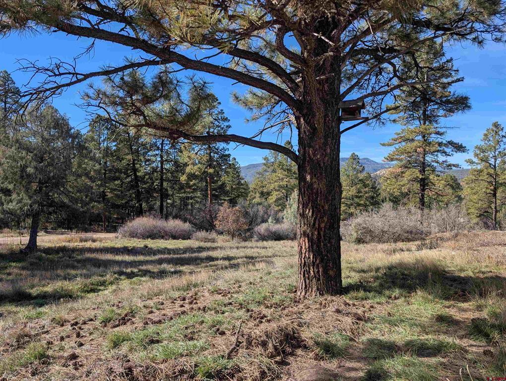 472 Haystack Circle Pagosa Springs CO 81147