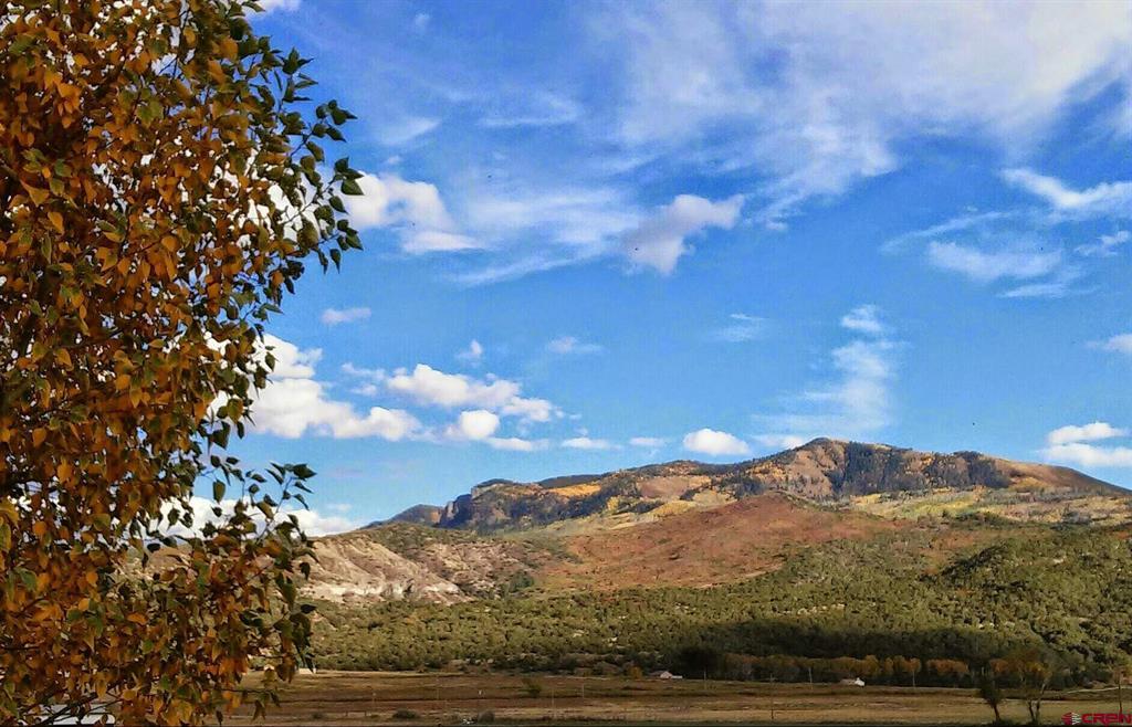 400 Palomino Trail Ridgway CO 81432