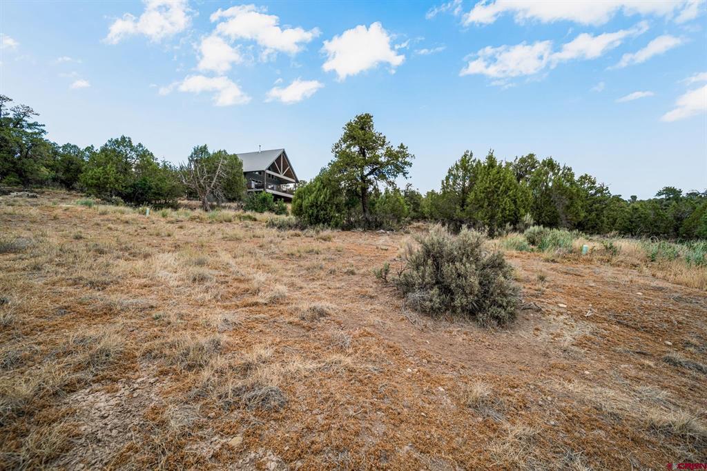 217 Rustic Ridge Road Ignacio CO 81137