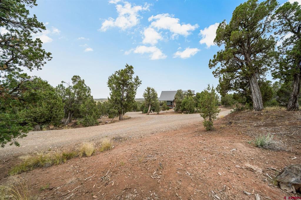 217 Rustic Ridge Road Ignacio CO 81137
