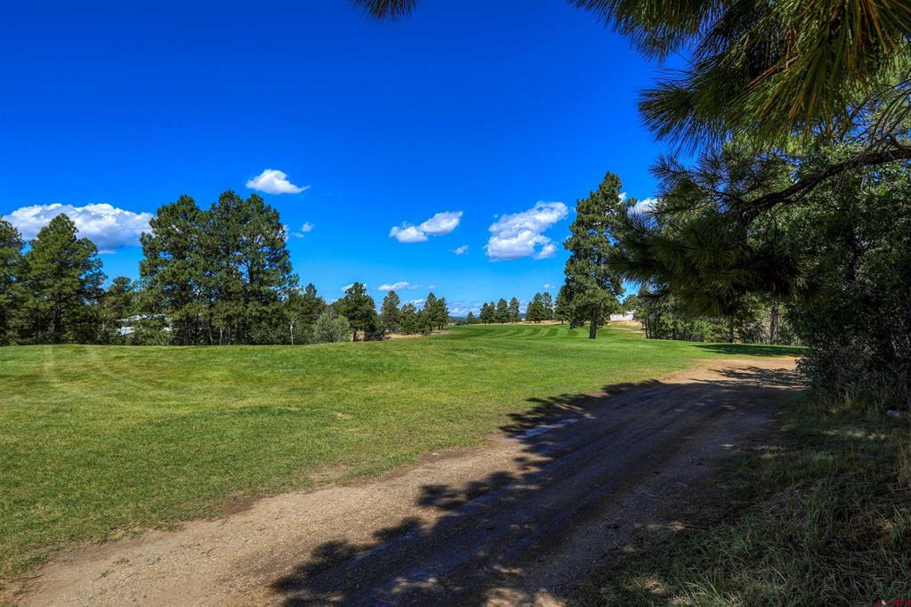 109 Ace Court Pagosa Springs CO 81147