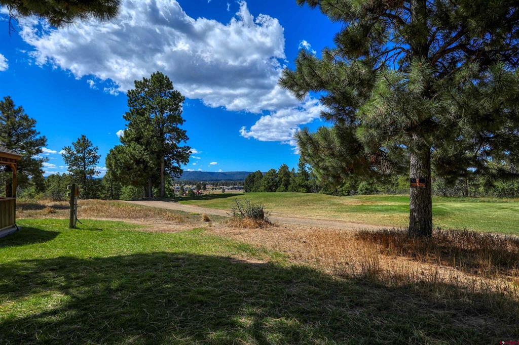 109 Ace Court Pagosa Springs CO 81147