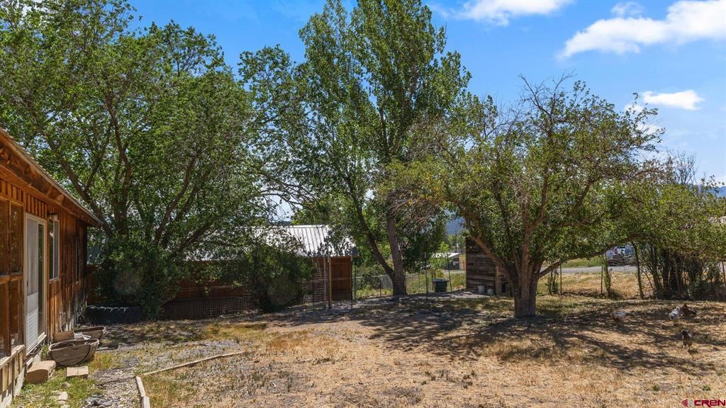 214 N Amelia Street Ridgway CO 81432