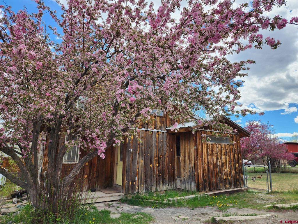 214 N Amelia Street Ridgway CO 81432