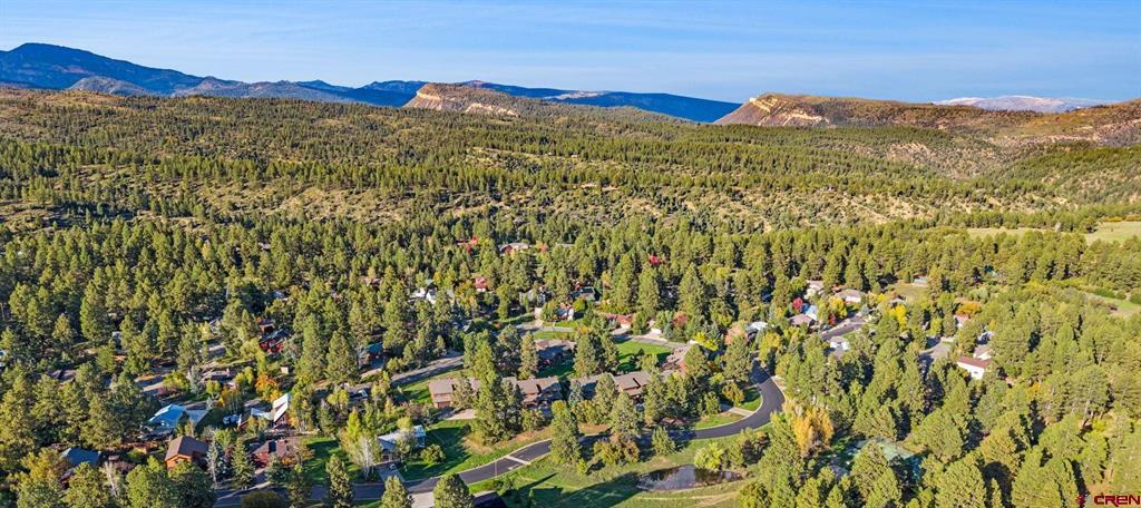 243 Pine Ridge Loop Durango CO 81301