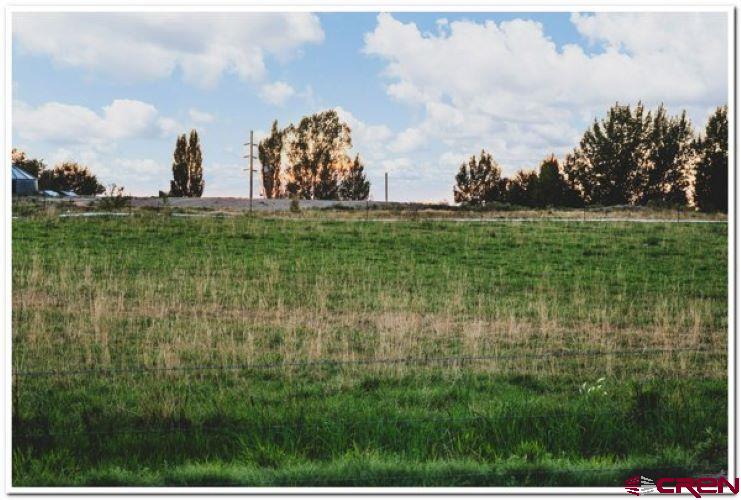 61067 Hwy-50 Montrose CO 81401