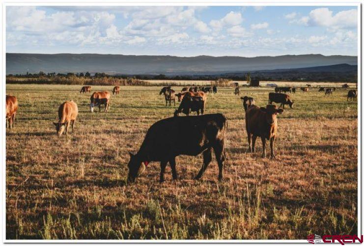 61067 Hwy-50 Montrose CO 81401