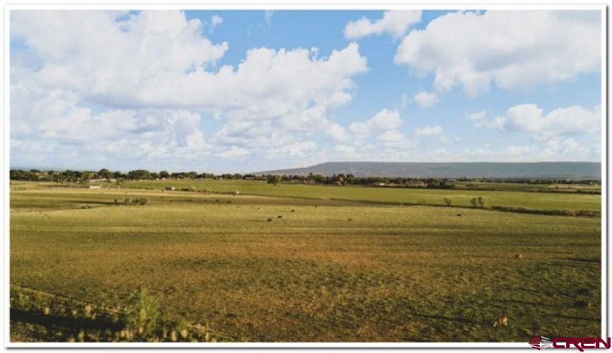 61067 Hwy-50 Montrose CO 81401