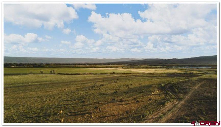 61067 Hwy-50 Montrose CO 81401