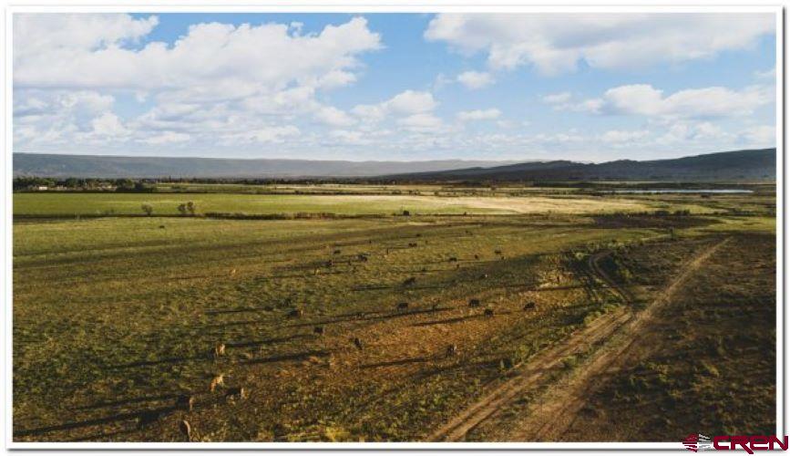 61067 Hwy-50 Montrose CO 81401