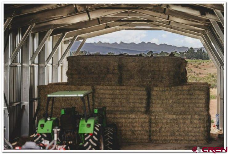 61067 Hwy-50 Montrose CO 81401