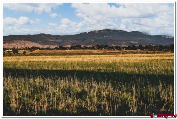 61067 Hwy-50 Montrose CO 81401