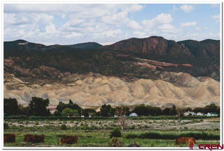 61067 Hwy-50 Montrose CO 81401