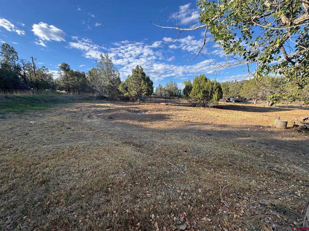 87 & 133 Lake Fork Arboles CO 81121