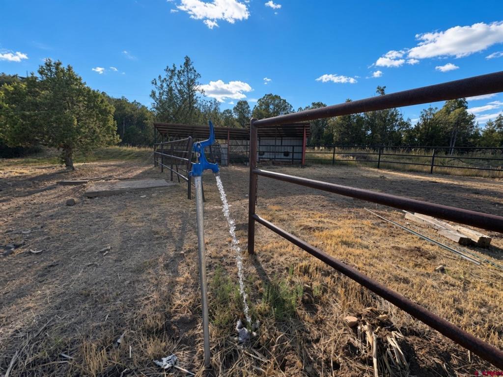 87 & 133 Lake Fork Arboles CO 81121